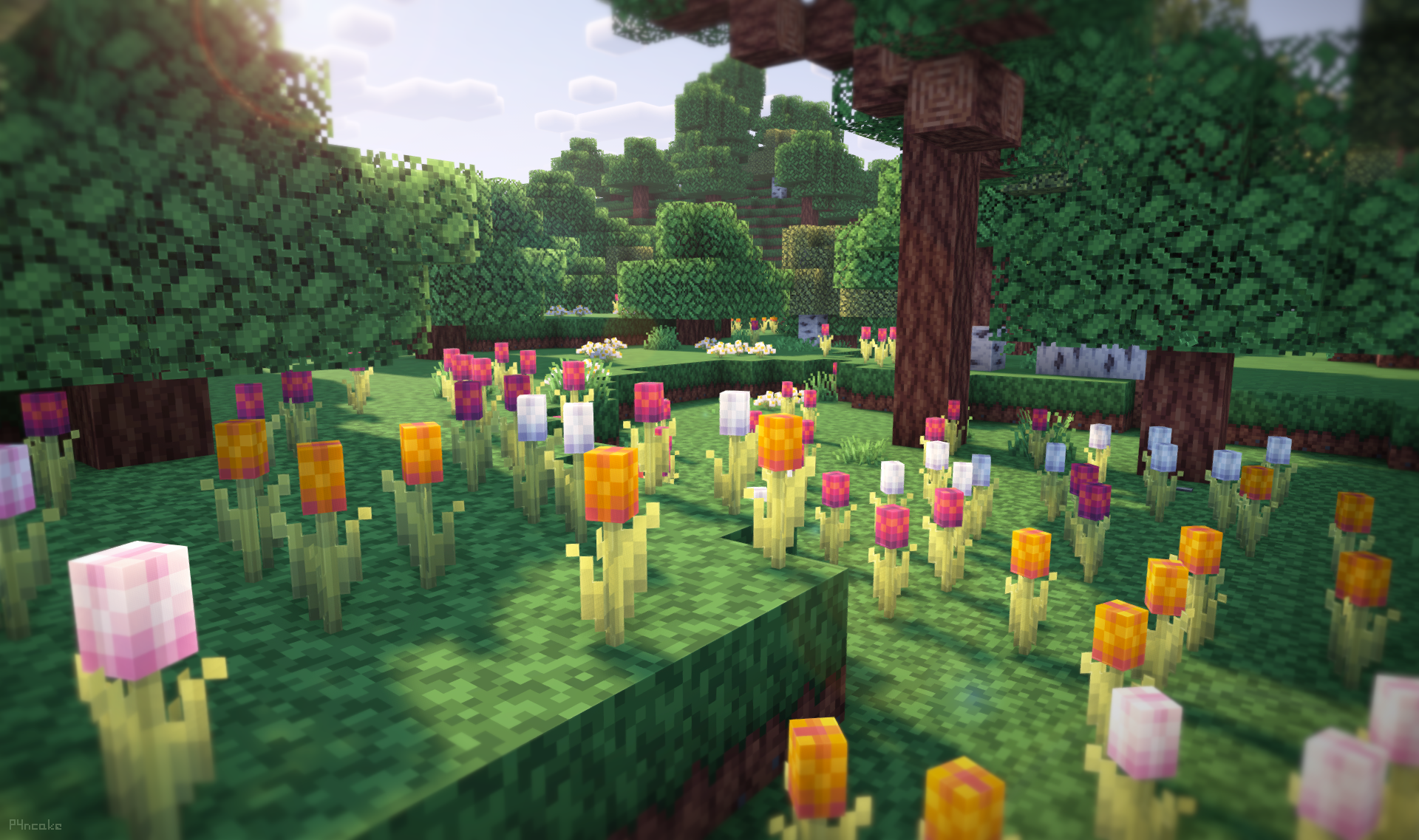 Flower forest with Tulips