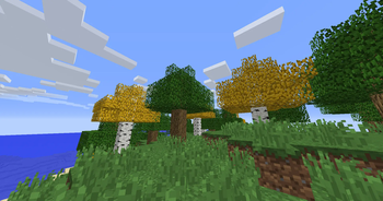 Birch trees in version 1.8.9