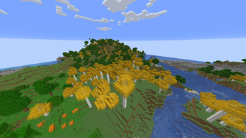 Birch forest