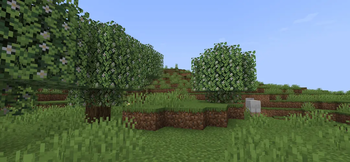 Grapefruit Field