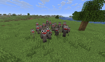 30 Bots