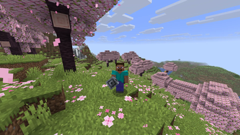 Steve holding a Mace in 3rd person