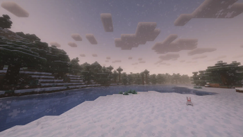 Snow Biome