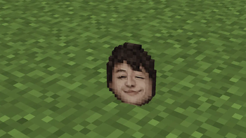 Egg Spawn