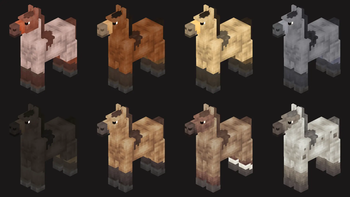 Mustang Horses