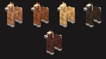 icy's horse breeds — screenshot 6