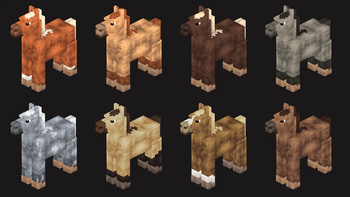 Quarter Horses