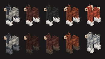 icy's horse breeds — screenshot 4
