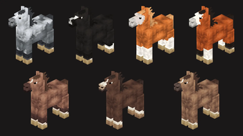 Thoroughbred Horses