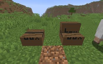 Box blocks