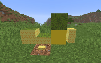 Pineapple blocks
