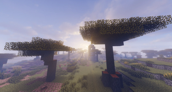Keep getting sidetracked by how pretty the shaders are