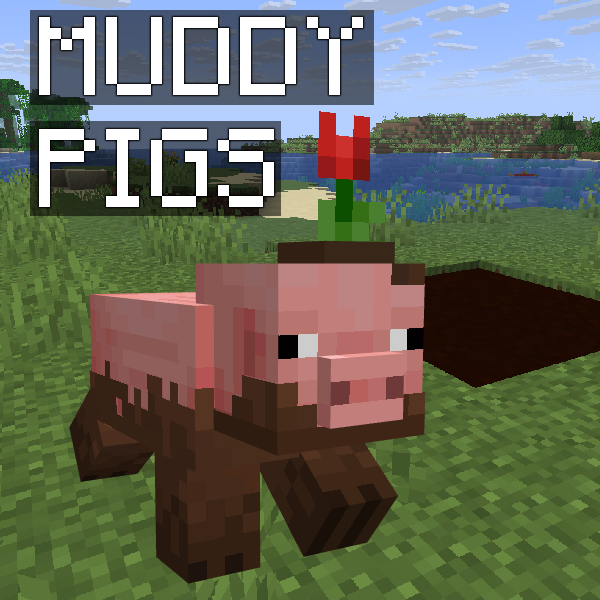 Muddy Pigs
