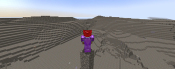 Miner Dimension