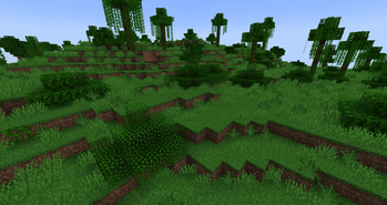 Bushes in jungle