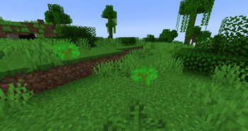 Bush saplings