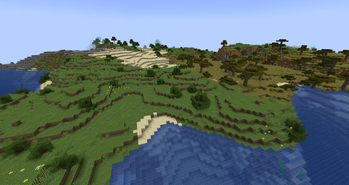 Bushes in savanna and plains