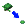 Turtles Drop Scute