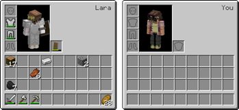 Inventory Viewing and Editing