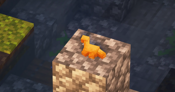 Dino nuggie in invisible item frame