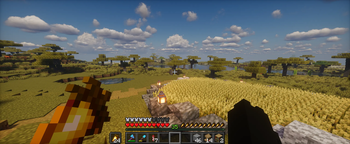 Fullscreen preview