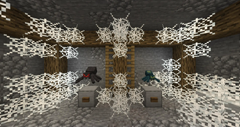 Spiders