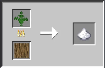 Cooking Ferns to Extract Sugar!