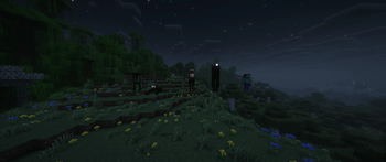 New Bosses/Entities