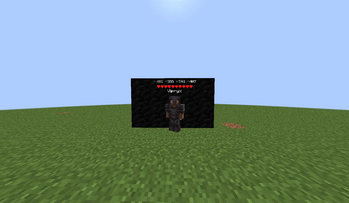 Armor indicator with Health Indicator