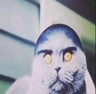 alien999