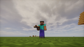 Third person view