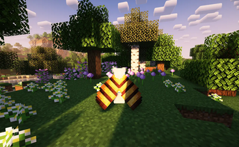 The name is bee's Elytra