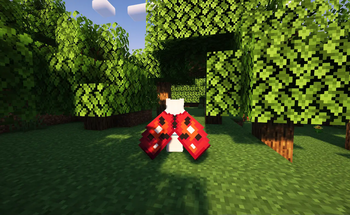 The name is ladybug's Elytra