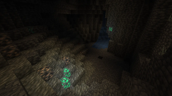 New ore in the mine