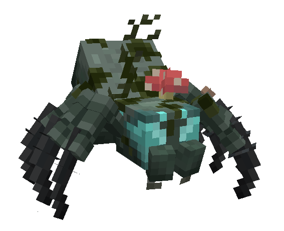 swamp spider