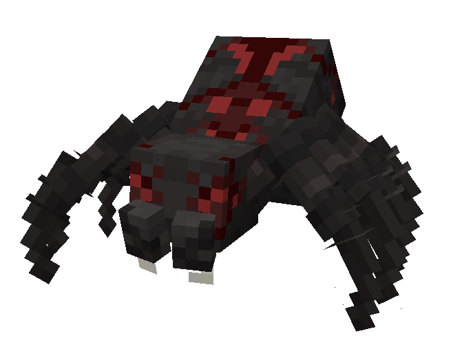 spider