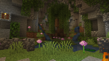 Showcase 5
