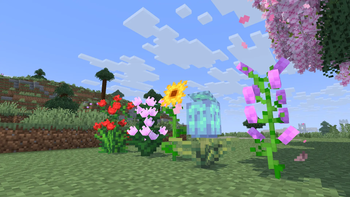 3D Flowers