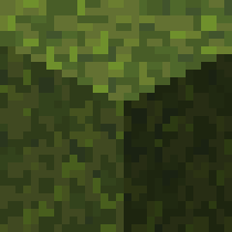 Moss Propagation