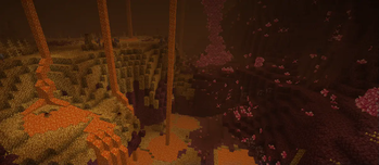Nether