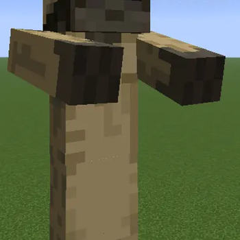 Female husk variant (Programmer Art)