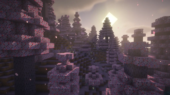 Lavender Grove