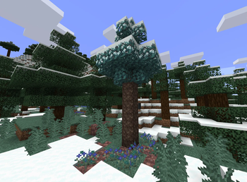 Updated Snowy Taiga