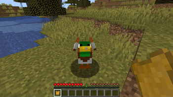 a duck looking at a player with a special item 