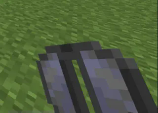 Elytra
