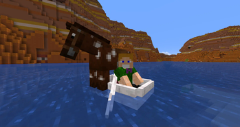 Horse and Player in boat
