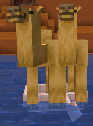 Two Camels in a boat