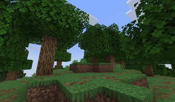 Oak forest