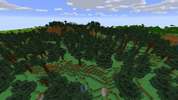 A Spruce Forest With Minecraft Recolored