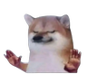 Stop Doge totem